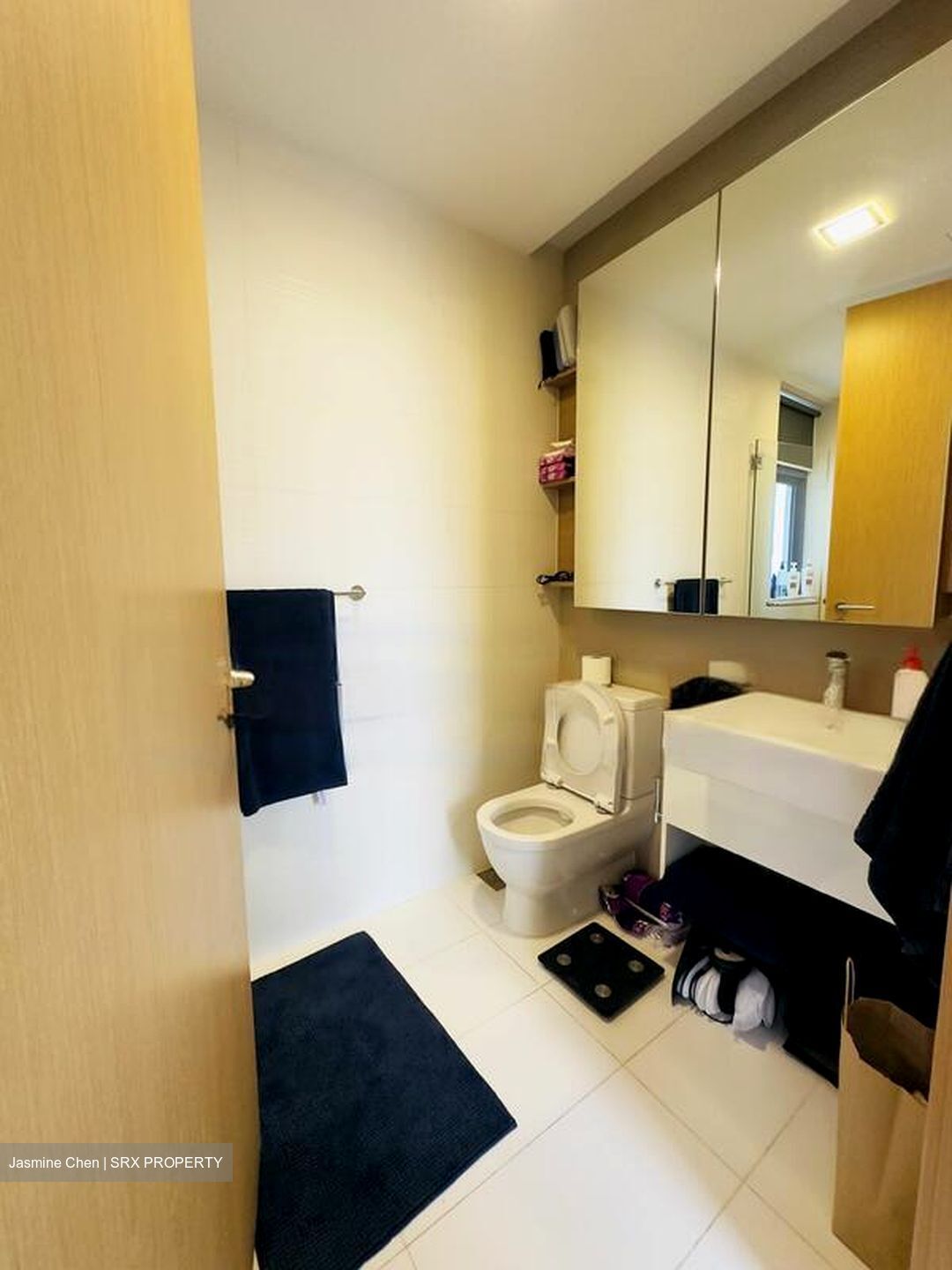 Soleil @ Sinaran (D11), Condominium #482542951